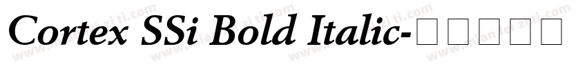 Cortex SSi Bold Italic字体转换
